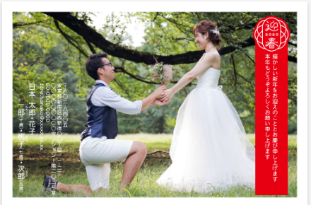 しまうまプリント 結婚報告 年賀状